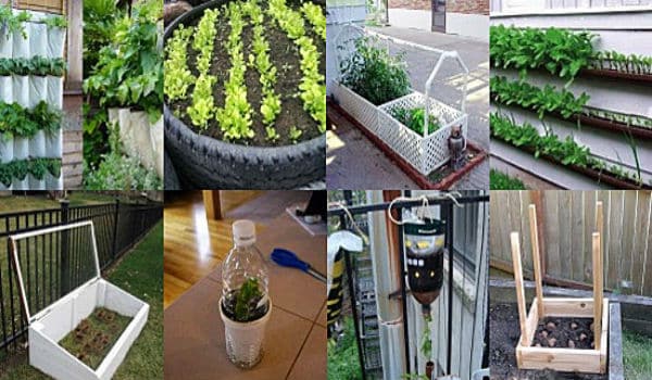 15 Garden Hacks That’ll Turn Any Thumb Green