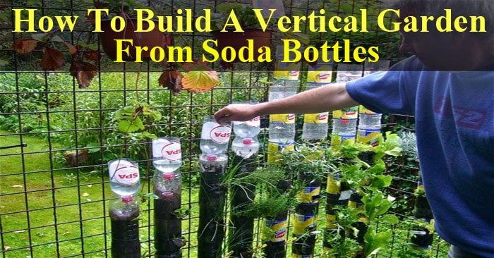 Do Not Throw Your Soda Bottles: Make A Vertical Garden With Them!
