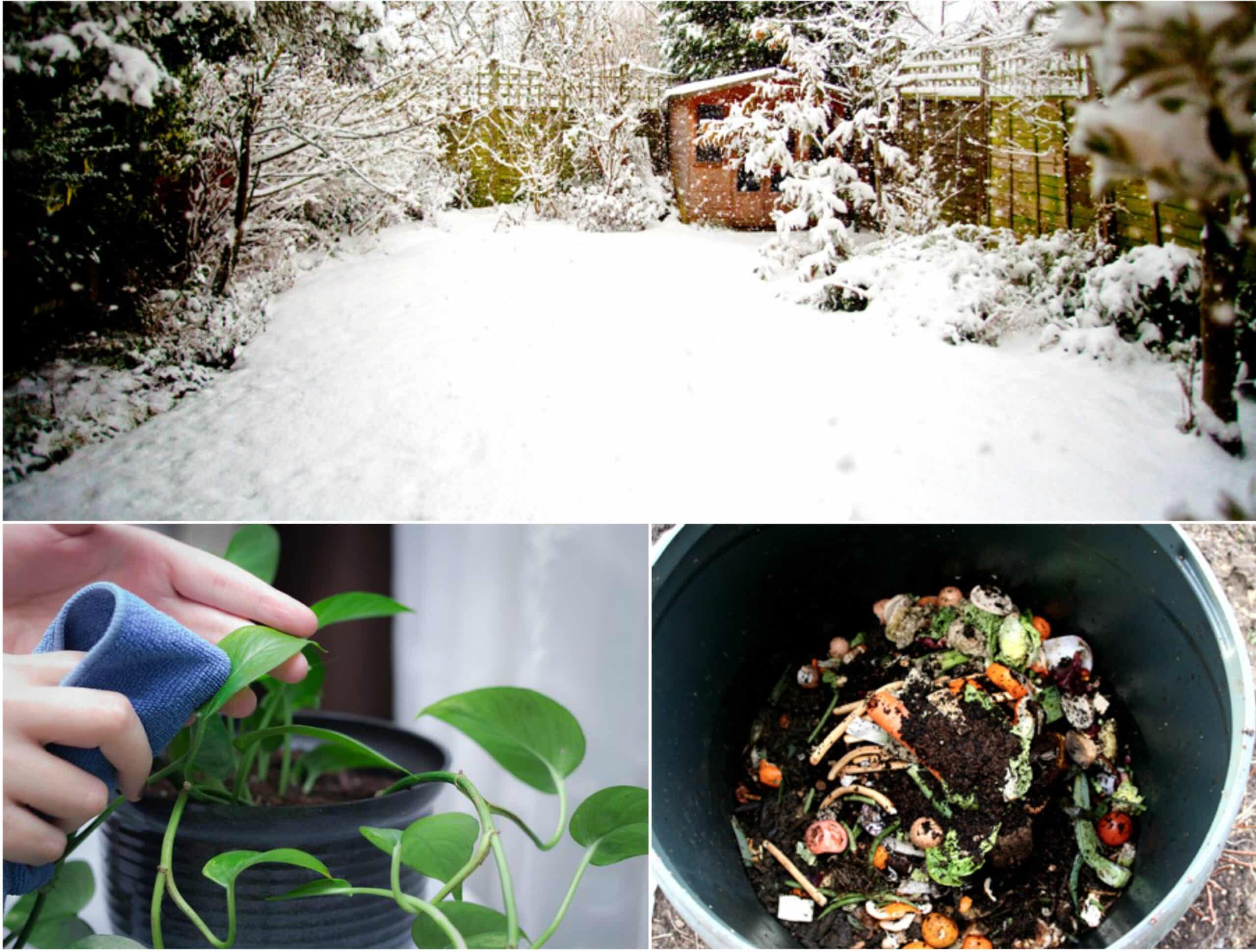 Winter Gardening