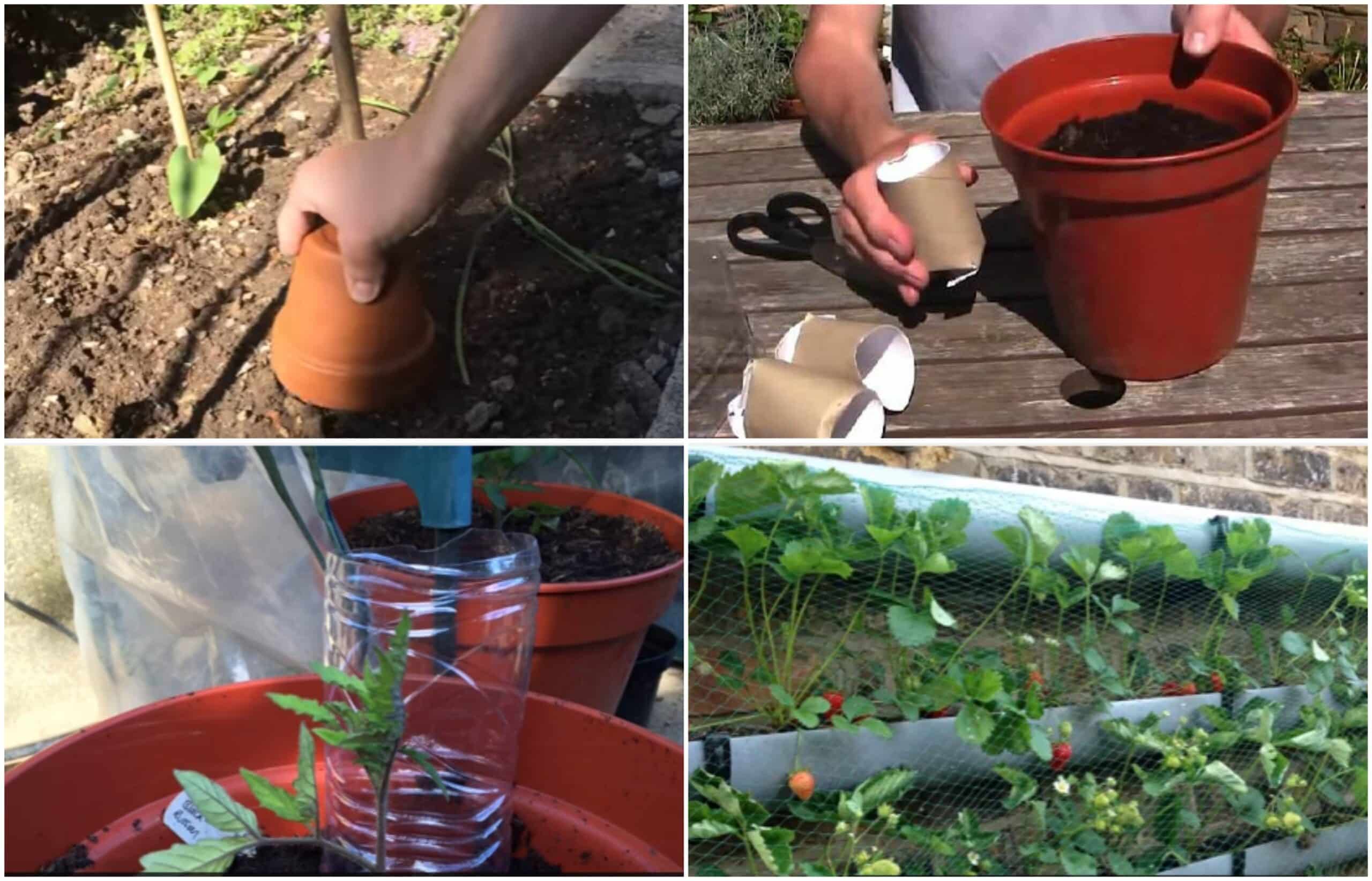 10 Genius Gardening Life-Hacks Both You and Your Plants will Love