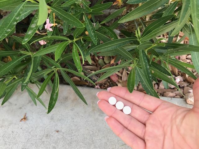 Using Aspirin In Your Garden
