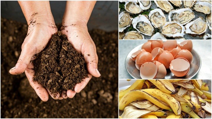 Strange Things That Will Improve Your Soil