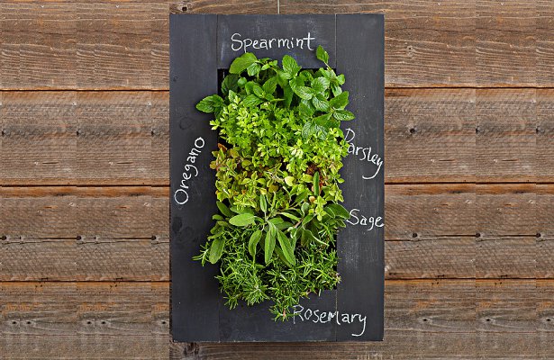 Hanging Chalkboard Herb Vertical Garden