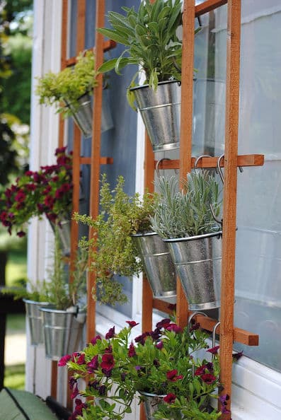 Trellis Planters with a Twist