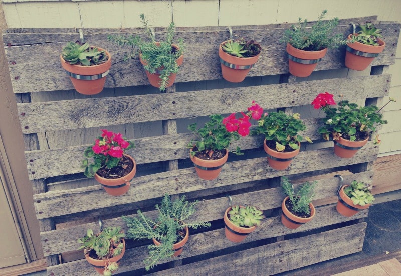 DIY Wooden Pallet and Terra Cotta Planter