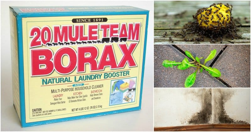 borax-uses-2 (1)