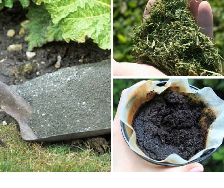 7-organic-fertilizers