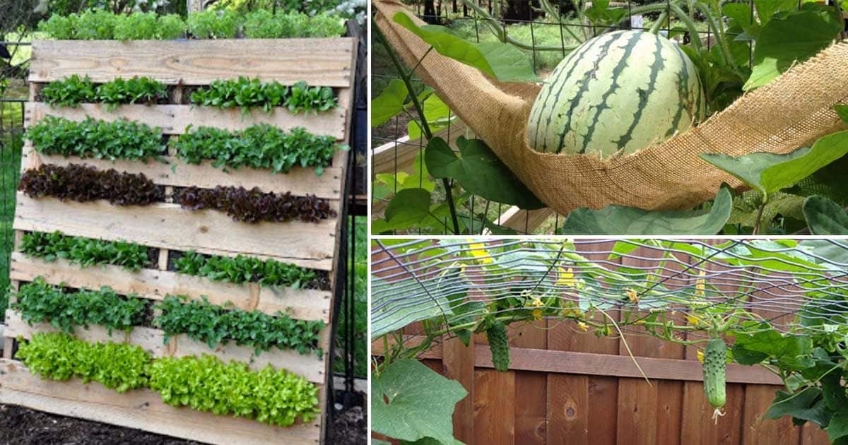 vertical-garden-ideas