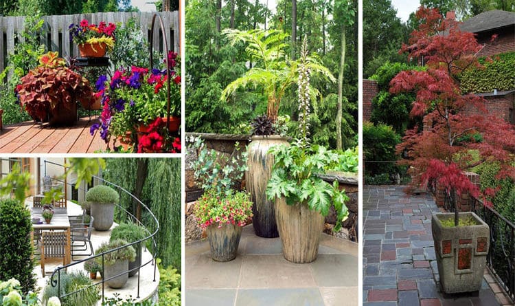 10-essential-garden-container