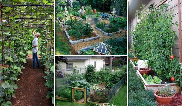 22-ways-vegetable-garden