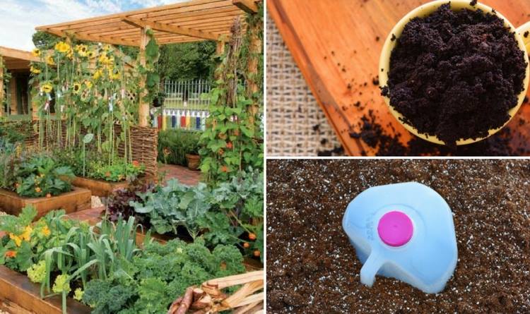 organic-gardening-tricks