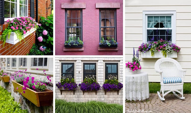 pretty-window-boxes