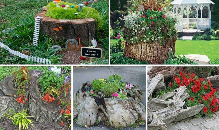 15-amazing-tree-stump-ideas