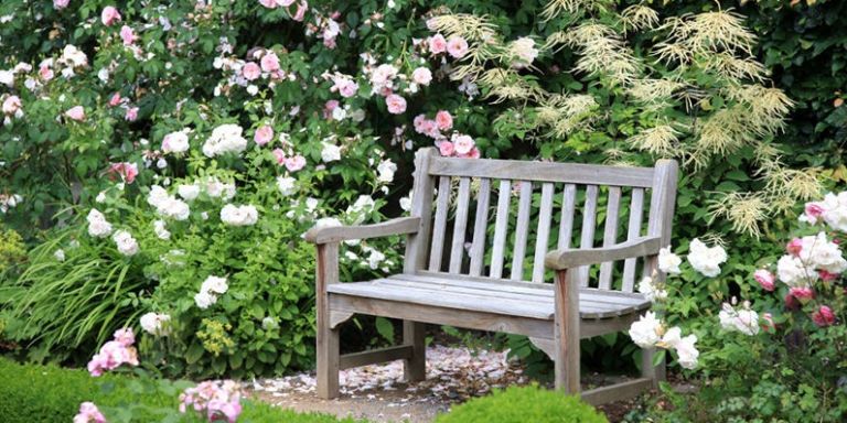 13-gardening-mistakes