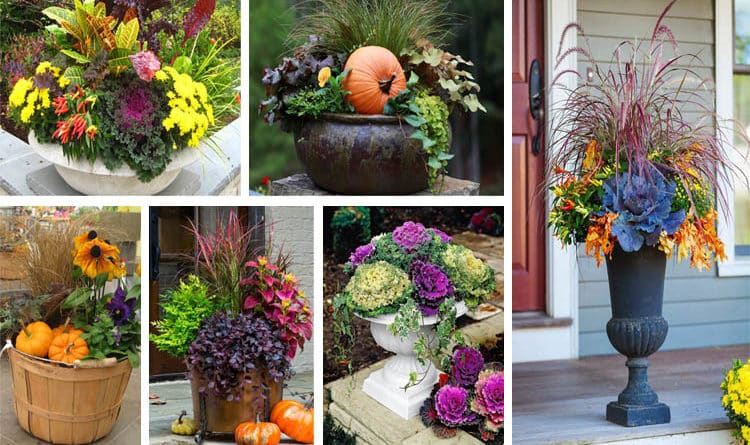 20-blow-minding-backyard-ideas