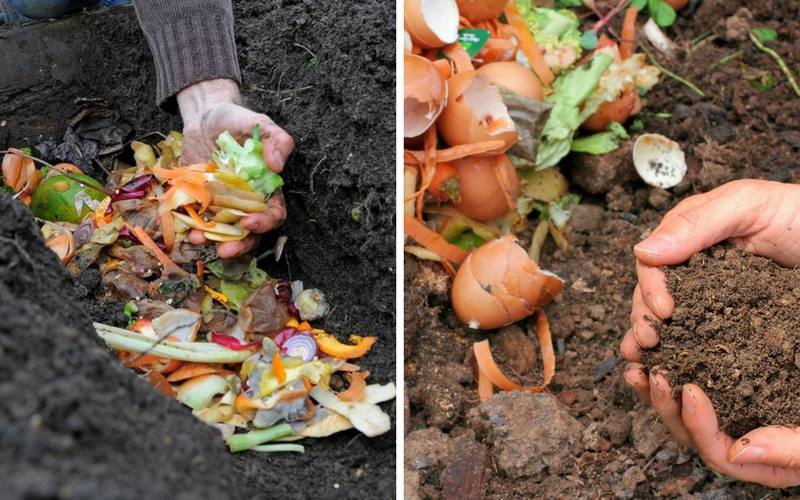 3-compost-techniques