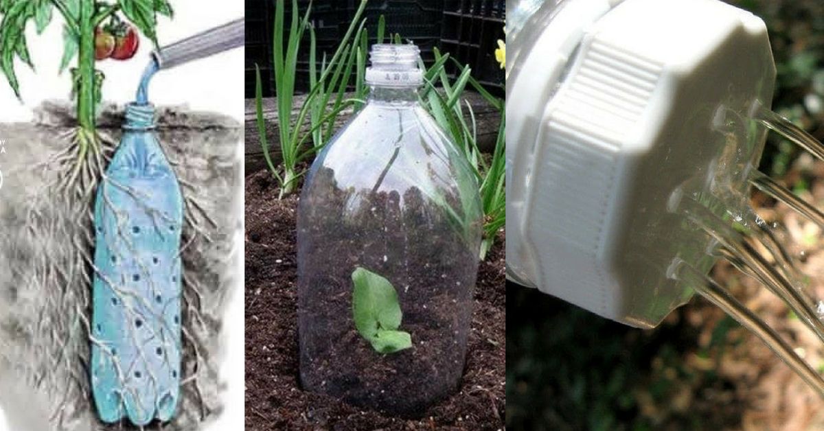 plastic-bottles-for-garden
