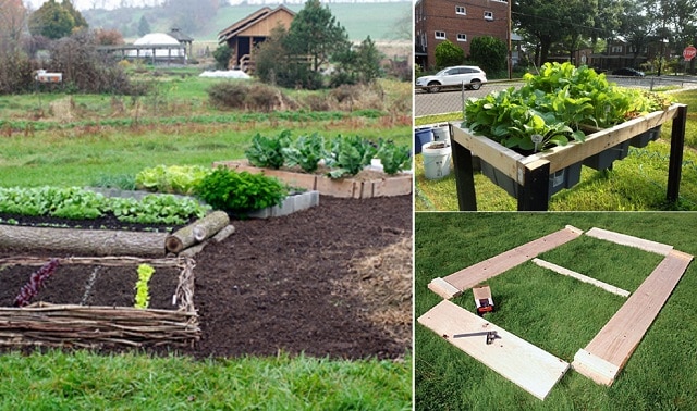 15-raised-bed-ideas