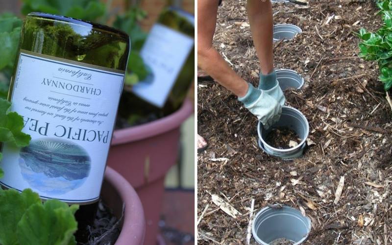 28-mind-blowing-gardening-secrets