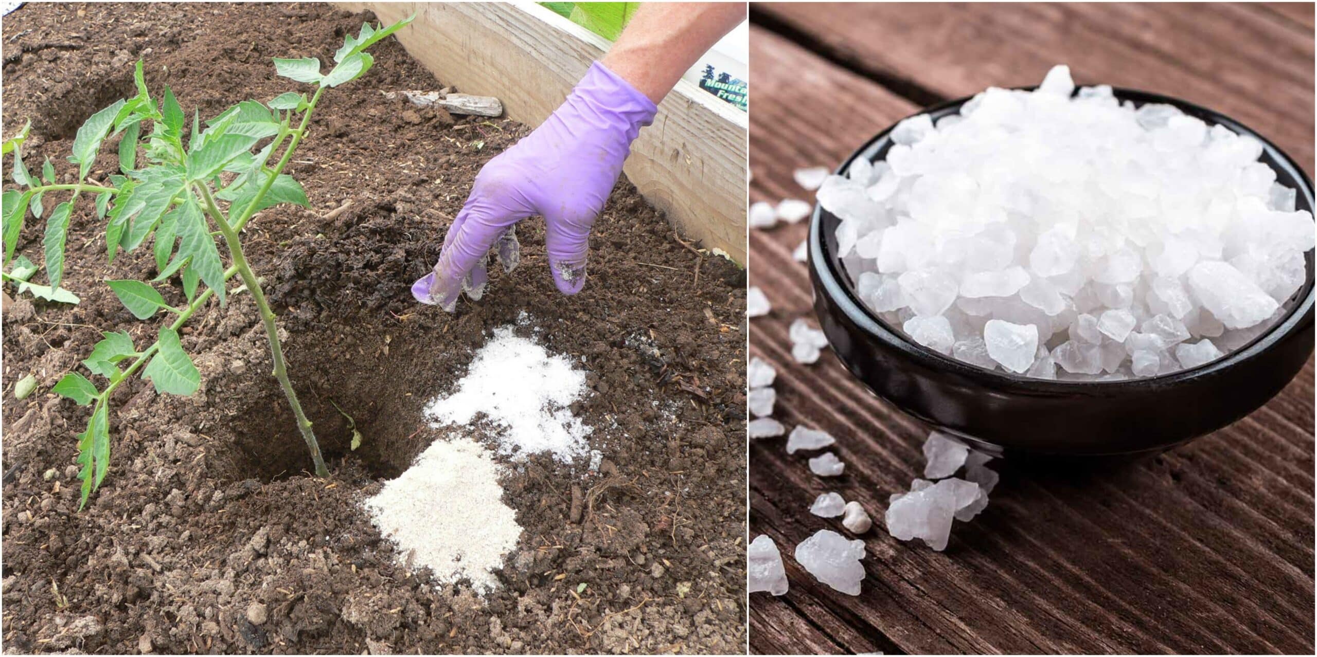 Uses For Epsom Salt