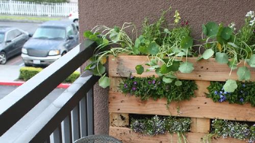 small-flowers-apartment-balcony-garden-ideas