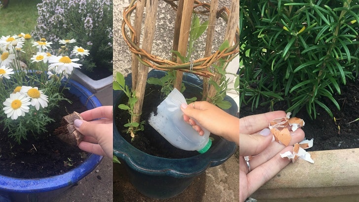 Weird-Ways-To-Use-21-Household-Items-In-Your-Garden-2