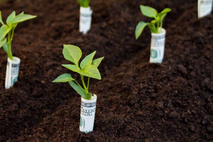 Money Saving Tricks Every Gardener Needs To Know