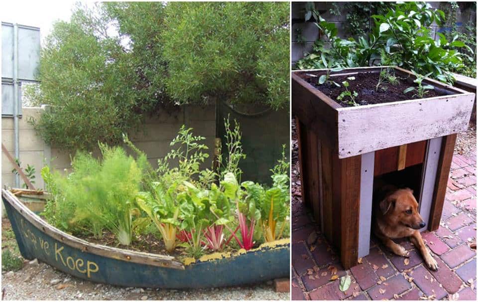 Make Your Vegetable Garden Healthier