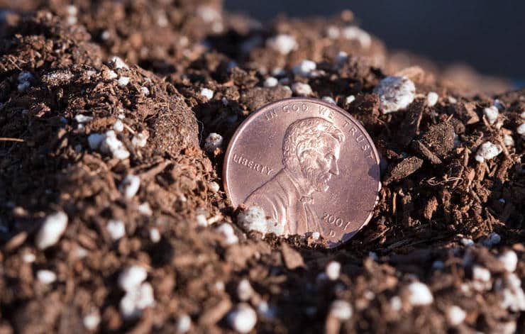 Weird Things Organic Gardeners Do