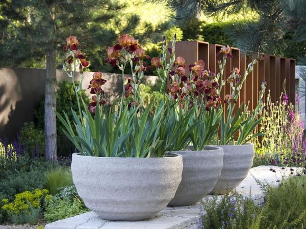 15 Eye-Catching DIY Garden Ideas of Rocks and Pots You’ll Like