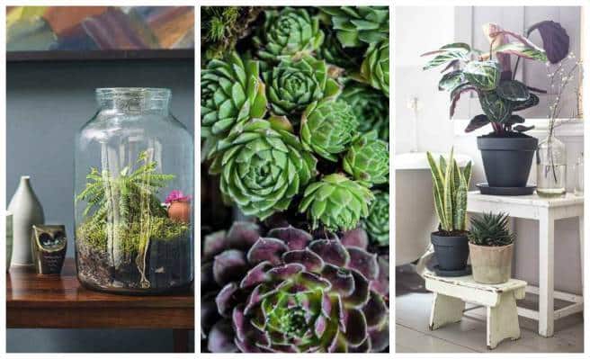 top-10-indoor-tips