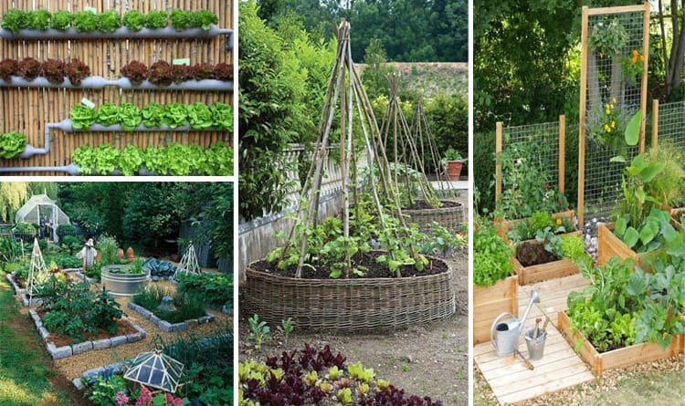 10-ideas-fruits-veggies