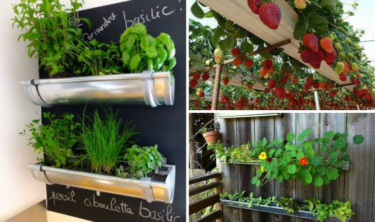 10-rain-gutter-ideas
