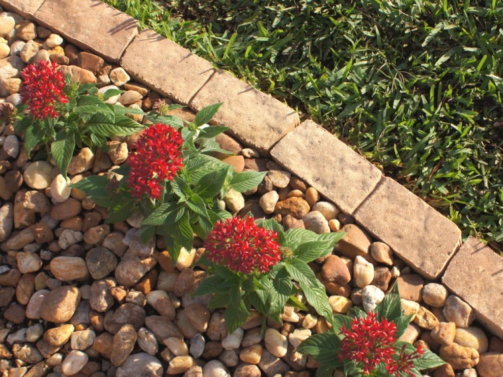 10 Garden Edging Ideas With Bricks and Rocks
