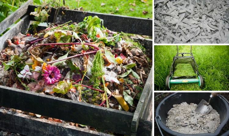 12-composting-tips