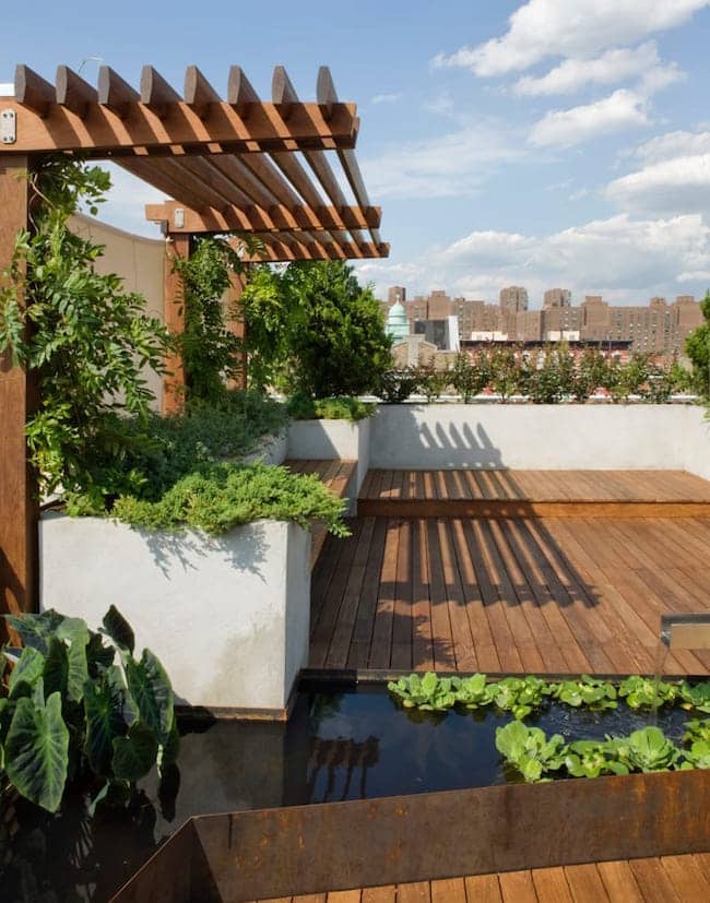 Fall Backyard Rooftop 31 Amazing and Inspiring Rooftop Garden Ideas