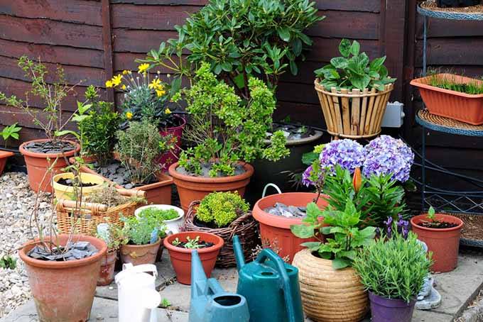 containers-looking-good