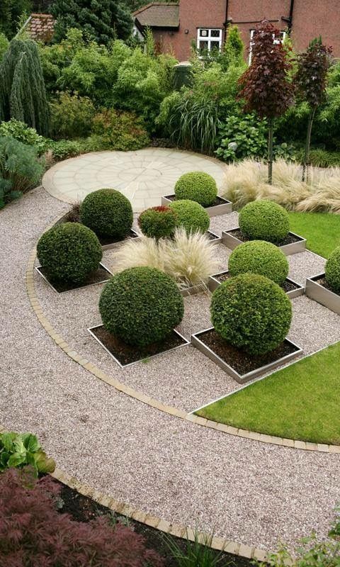 Boxwood Shrubs: The Ultimate Guide to Growing and Caring for This ...