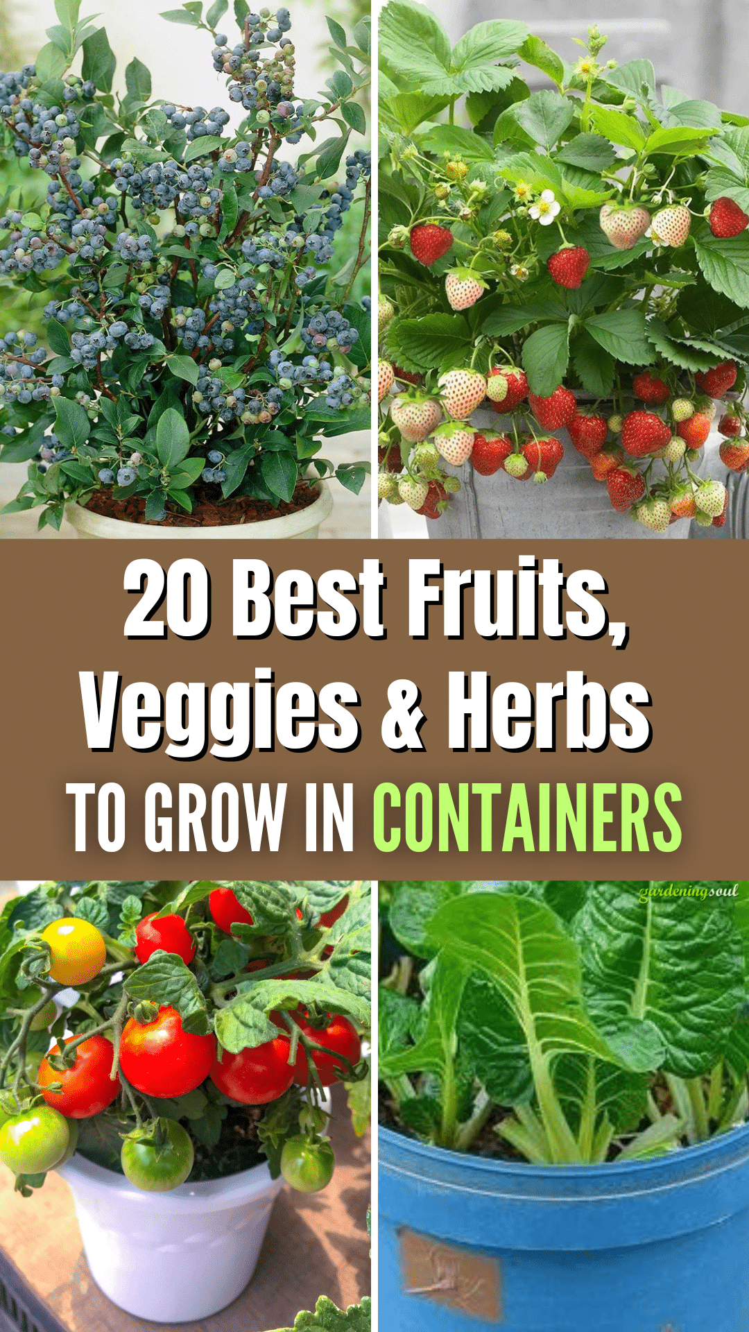 20 Best Fruits, Veggies & Herbs To Grow In Containers For An Endless ...