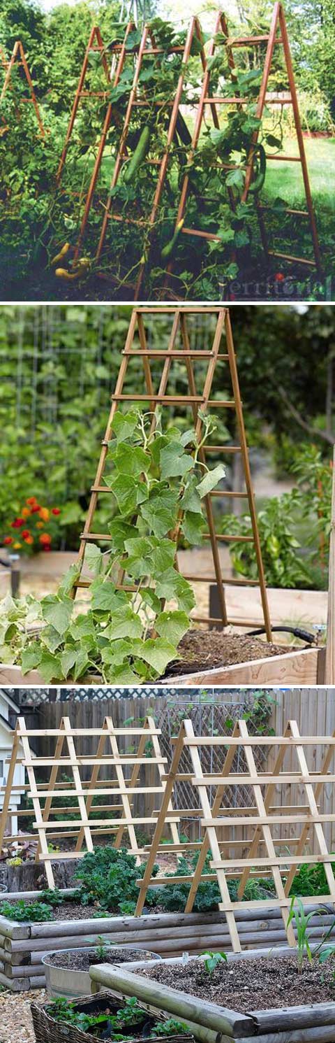 19 Successful Ways to Building DIY Trellis for Veggies and Fruits