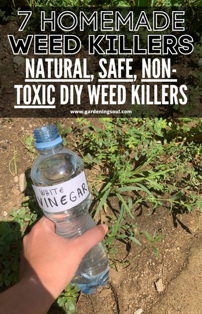 7 Homemade Weed Killers: Natural, Safe, Non-Toxic DIY Weed Killers