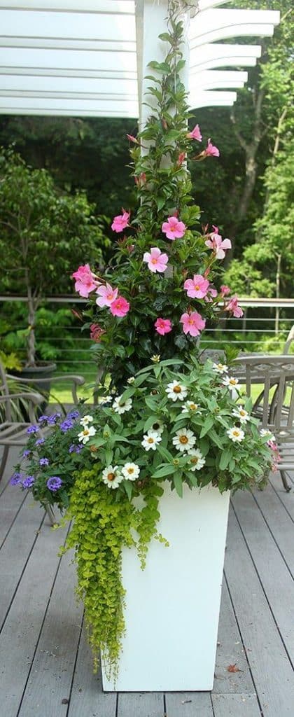 Eye-Catching Wonderful and Creative Patio Planter Ideas