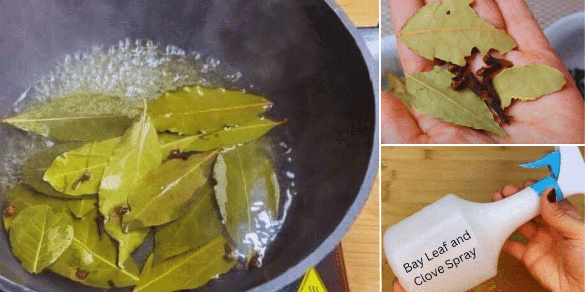 A Breath of Fresh Air: Natural Ways to Keep Pests at Bay (RECIPE)